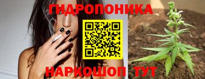 твердый Обнинск
