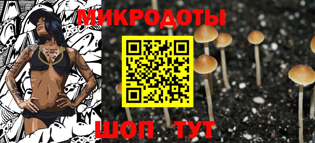 где можно купить наркотик  Псилоцибиновые грибы прущие грибы  Сергиев Посад  Вход с VPN  Галлюциногенные грибы прущие грибы 