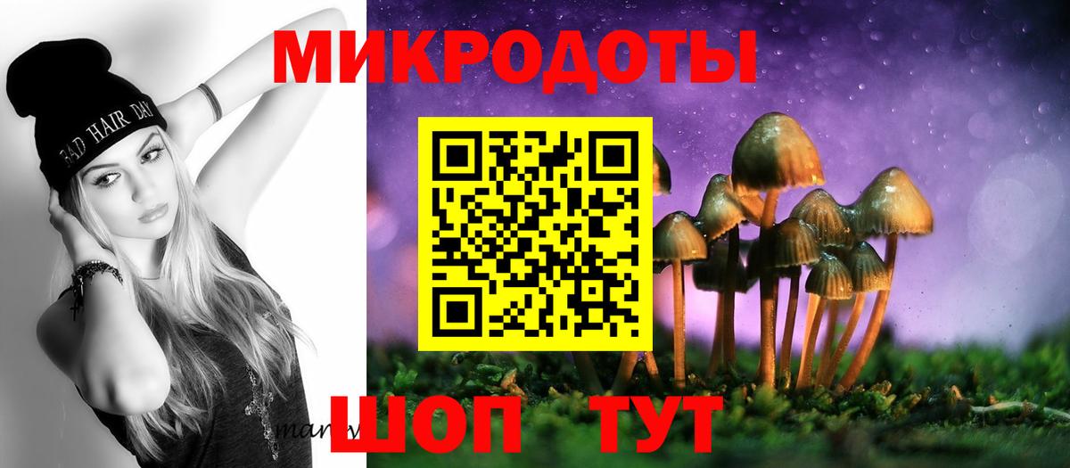 Галлюциногенные грибы Cubensis Сергиев Посад
